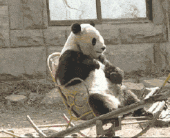  批复了，郑州铁路局5月份连开四趟旅游专列，惊动了中央电视台！ 