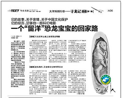 河南本土发现的恐龙化石扬名国际顶级期刊