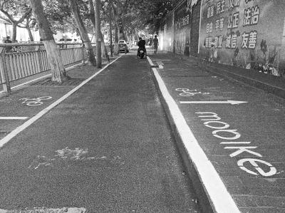 郑州街头现多处“奇怪”停车位 共享单车必须停其中