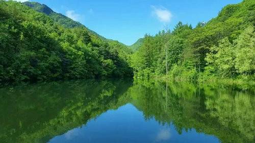 嵩县夏季福利火爆来袭各种免费总有一个适合你