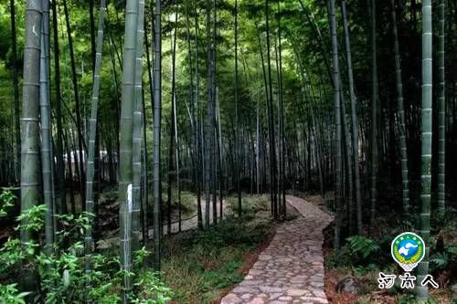 去西九华山给身心来一次完美的旅行