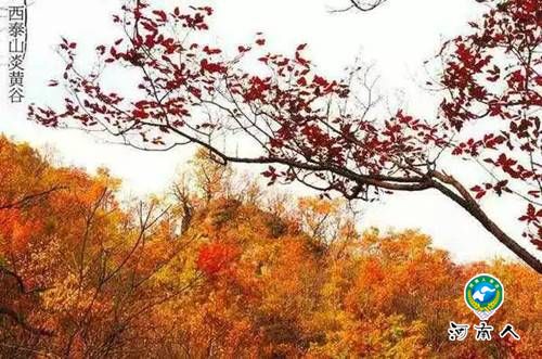 汝阳西泰山秋景初露惹人醉