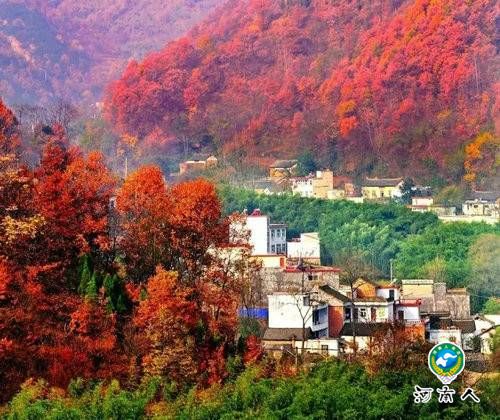 重渡沟来一场秋日“劫色”之旅独醉山泉飞瀑竹林人家