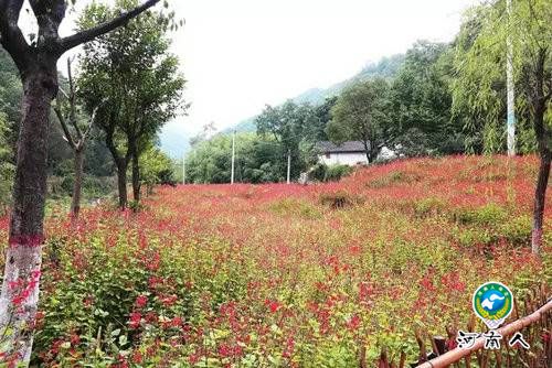 重渡沟来一场秋日“劫色”之旅独醉山泉飞瀑竹林人家