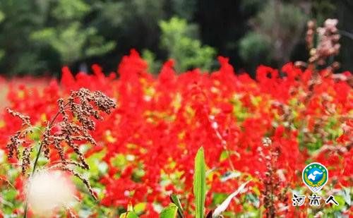 重渡沟来一场秋日“劫色”之旅独醉山泉飞瀑竹林人家