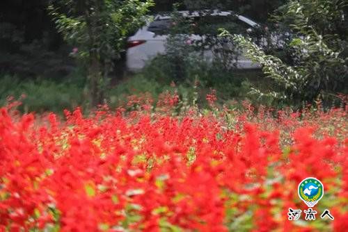 重渡沟来一场秋日“劫色”之旅独醉山泉飞瀑竹林人家