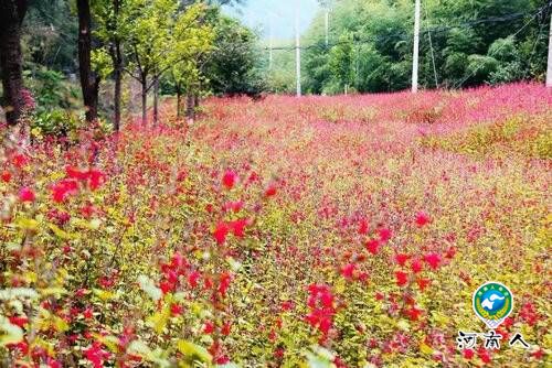 重渡沟来一场秋日“劫色”之旅独醉山泉飞瀑竹林人家